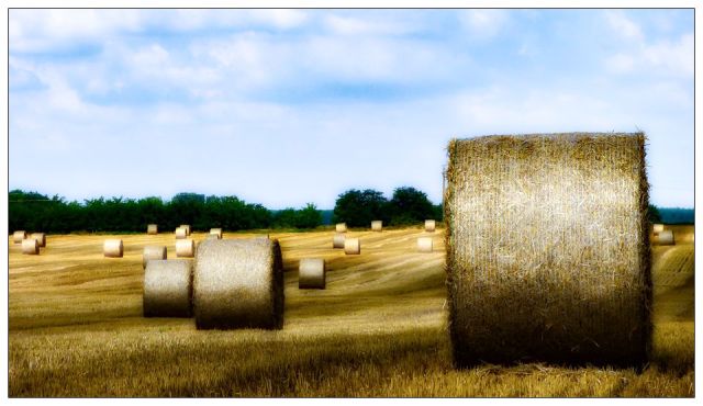 round hay bales in field with cloudy sky overhead